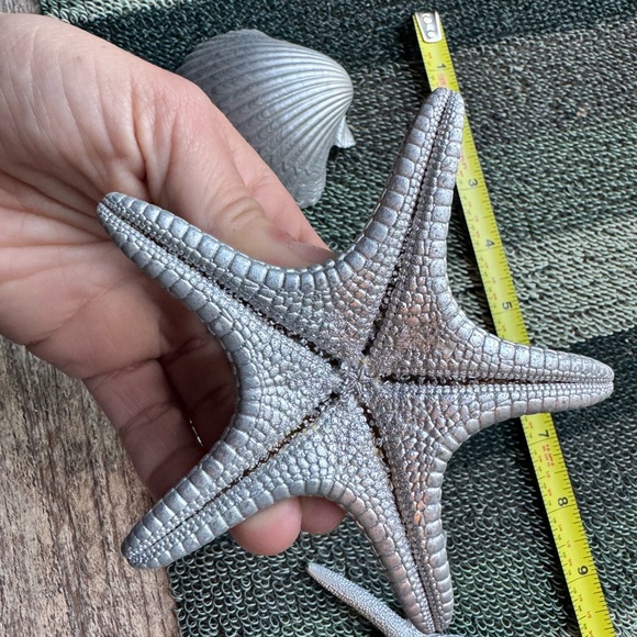 Small Plastic Silver Seashell and Starfish Decor Set - Picture 7 of 8